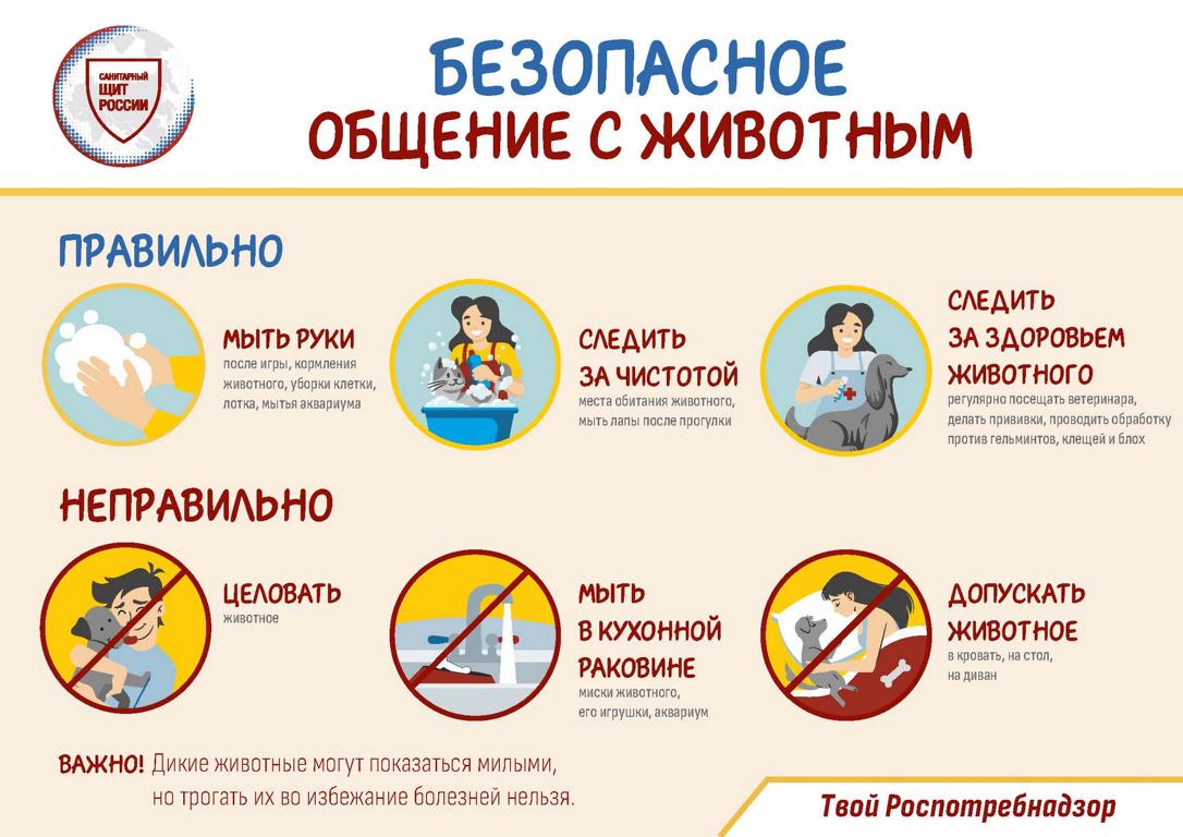 САНПРОСВЕТ ПРОСТО О ВАЖНОМ 5