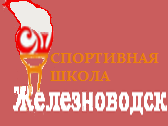 VTEM Logo
